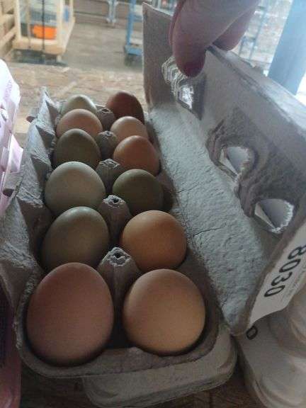 2 Doz Large Brown Eating Eggs