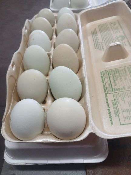 2.5 Doz Mixed Blue & Green Eating Eggs