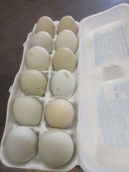2 Doz Mixed Blue & Green Eating Eggs