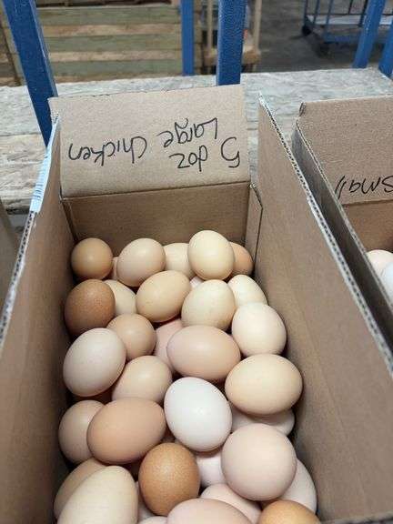 5 Doz Large Eating Eggs