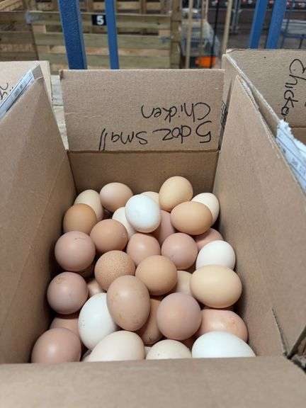 5 Doz Small Eating Eggs