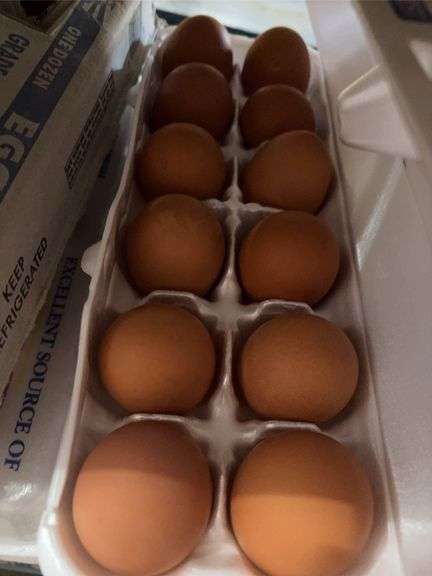 4 Doz Med Brown Eating Eggs