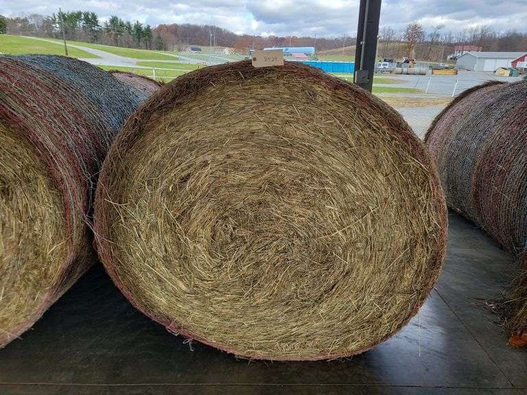 2 Round Bales 1st Orchard Grass (4x4.5)