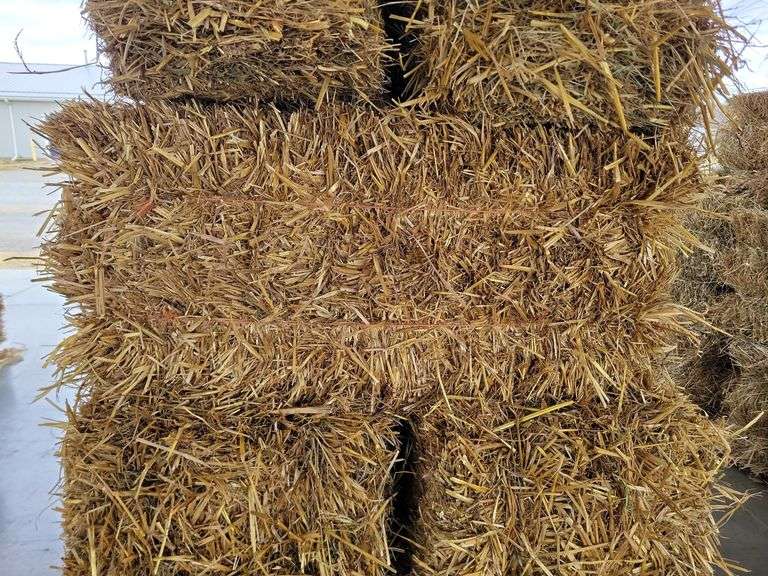 20 Oat Straw