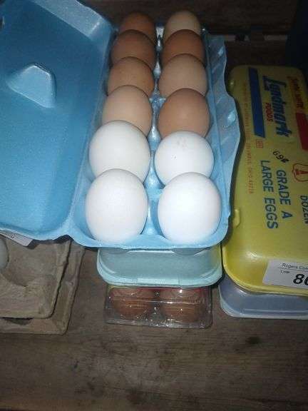 3 Doz Eating Eggs - Colossal Brown & White