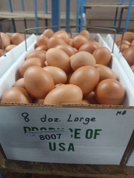 8 Doz Large Brown Eating Eggs