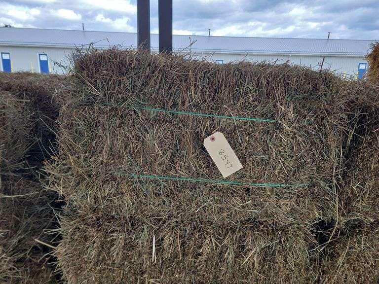 24 1st Timothy Orchard