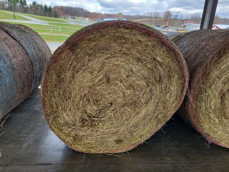 2 Round Bales 1st Orchard Grass (4x4.5)