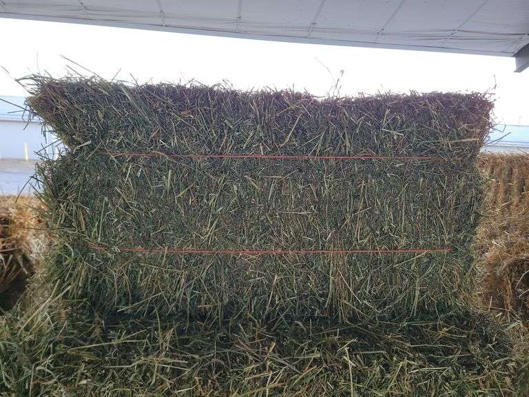 20 2nd Alfalfa
