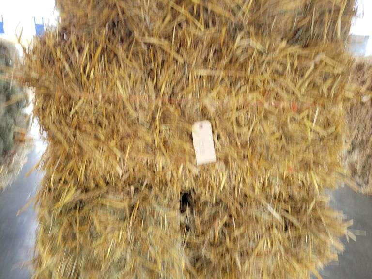 20 Oat Straw