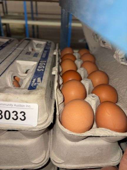 4 Doz Large Brown Eating Eggs