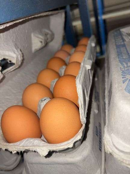4 Doz Large Brown Eating Eggs
