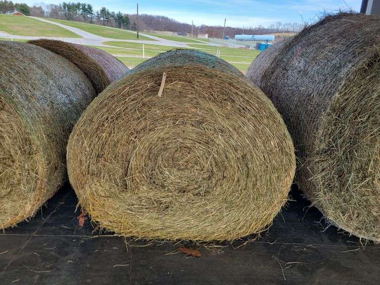 2 Round Bales 1st Orchard Grass Mix (4x4)