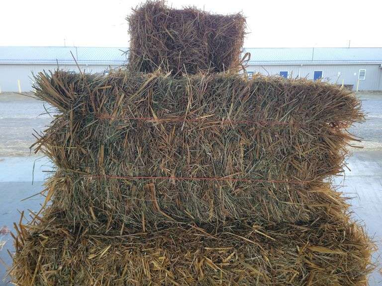 10 Oat Straw