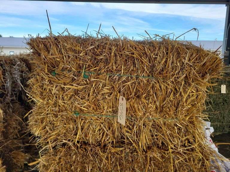 15 Oat Straw