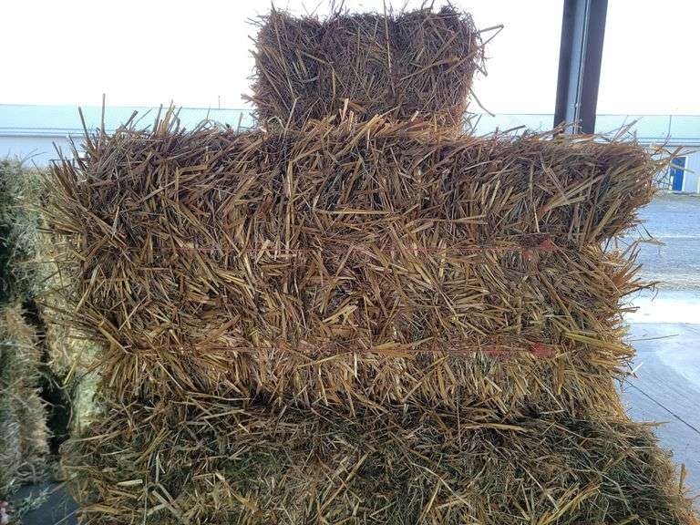10 Oat Straw