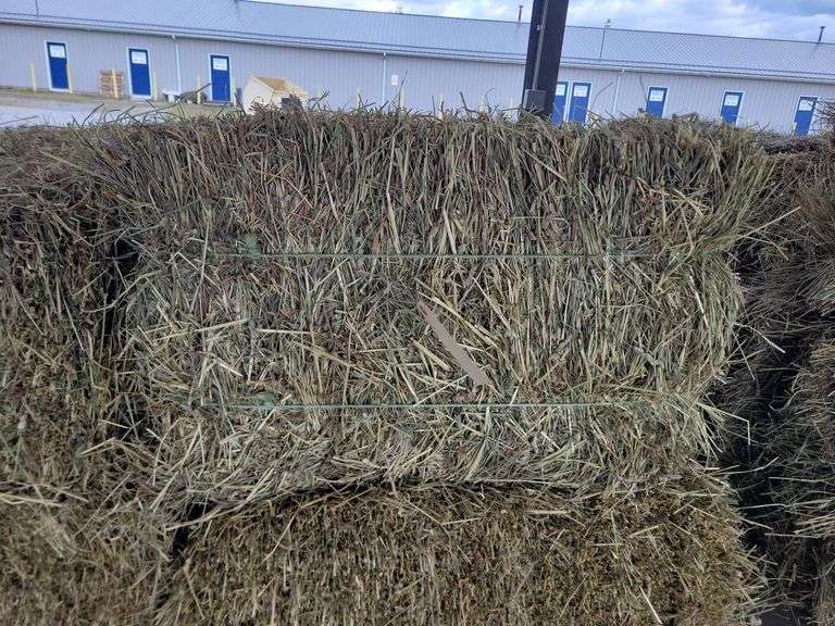 24 1st Timothy Orchard