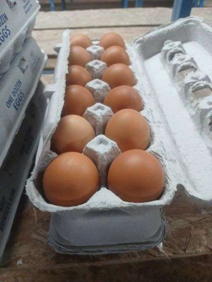 2 Doz Large Brown Eating Eggs