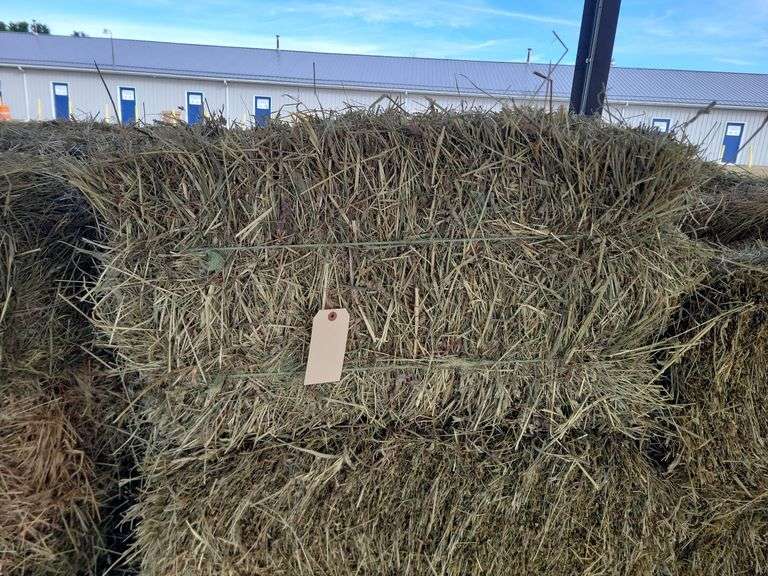 24 1st Timothy Orchard