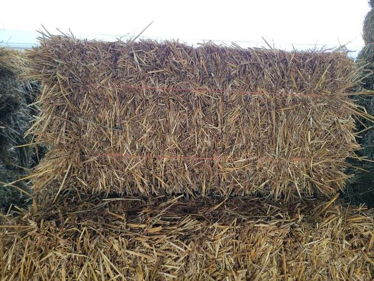 15 Wheat Straw