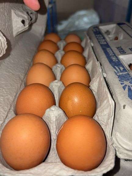 4 Doz Large Brown Eating Eggs