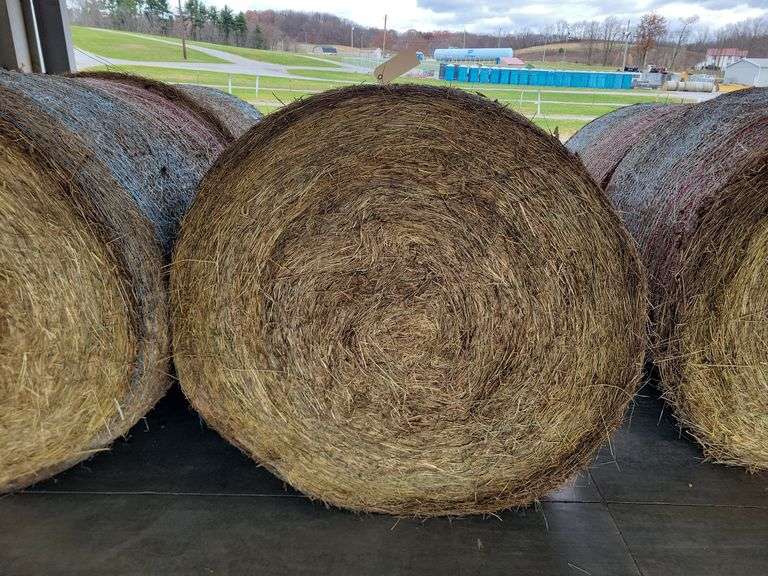 2 Round Bales 1st Orchard Grass (4x4.5)