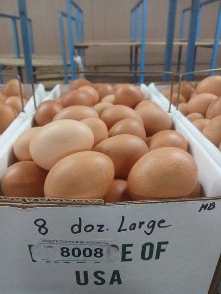 8 Doz Large Brown Eating Eggs