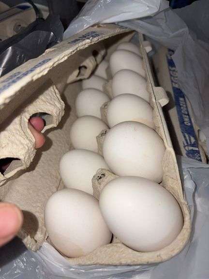 4 Doz White Eating Eggs