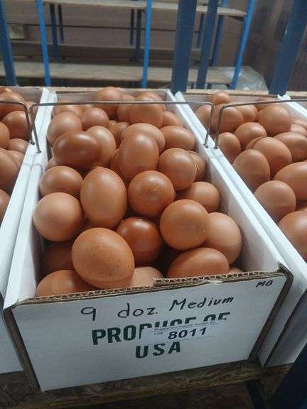 9 Doz Medium Brown Eating Eggs