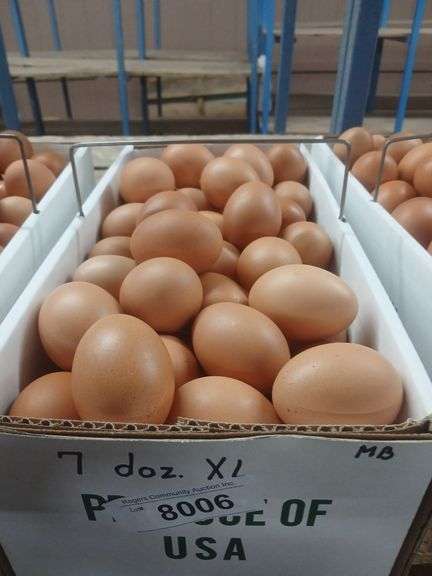 7 Doz Xlarge Brown Eating Eggs