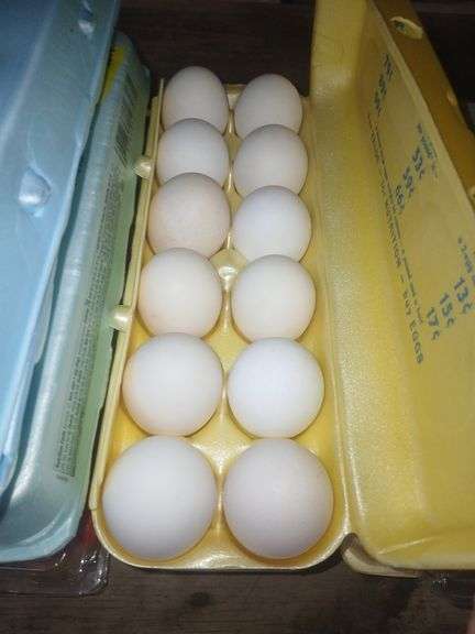 2 Doz White Eating Eggs - Jumbo & XL