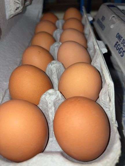 4 Doz Large Brown Eating Eggs