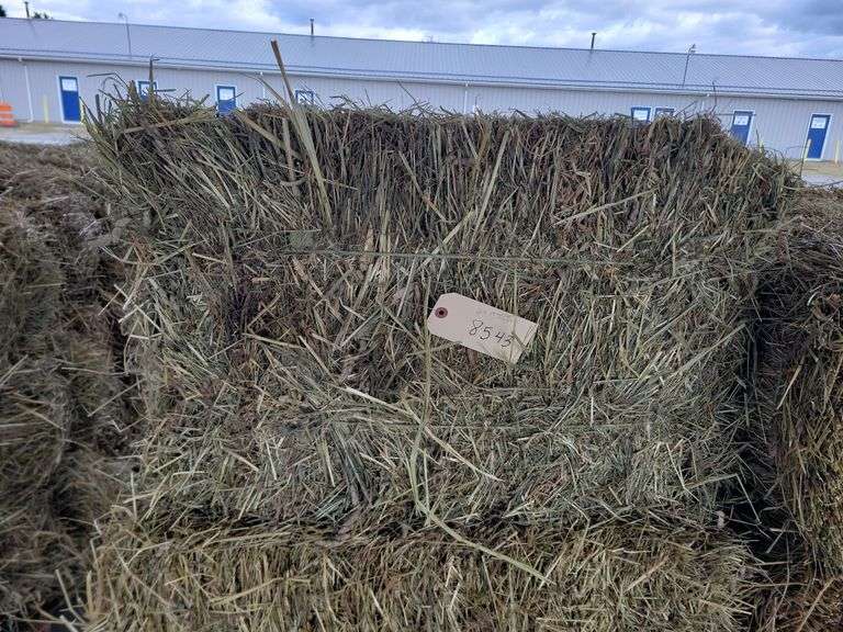 24 1st Timothy Orchard