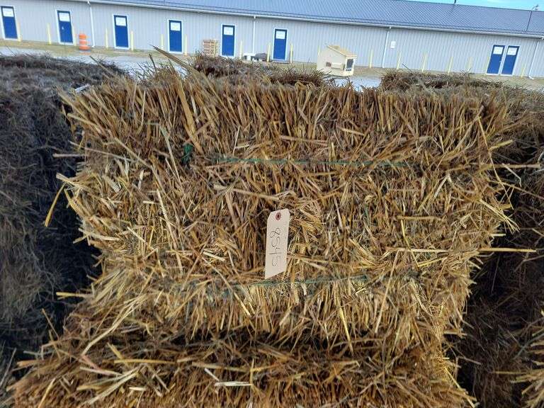 15 Oat Straw