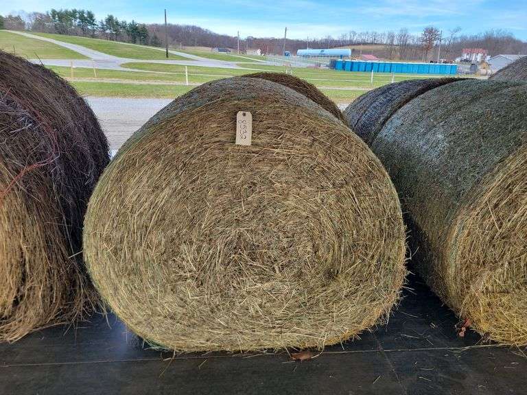 2 Round Bales 1st Orchard Grass Mix (4x4)