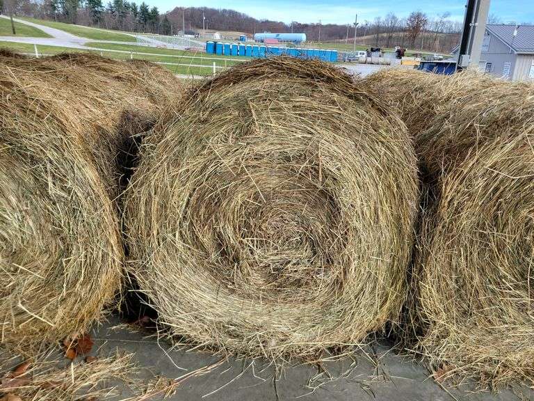 2 Round Bales 1st Alfalfa Grass (4x4)