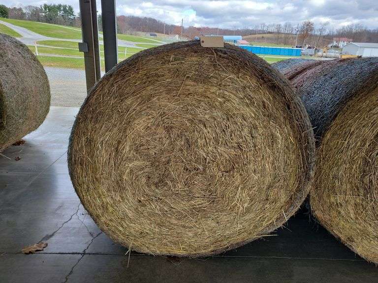 2 Round Bales 1st Orchard Grass (4x4.5)