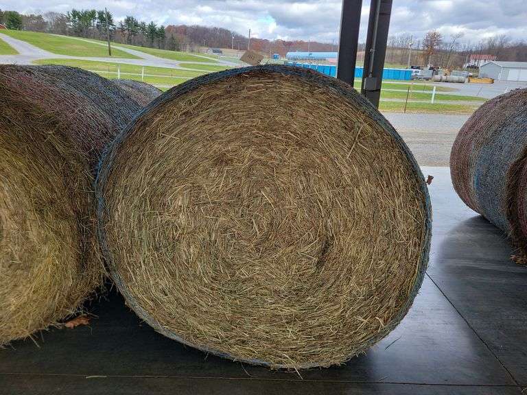 2 Round Bales 1st Orchard Grass (4x4.5)