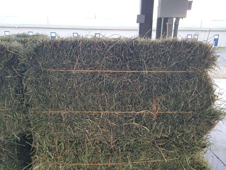 10 2nd Alfalfa w/ Some Timothy "Beautiful"