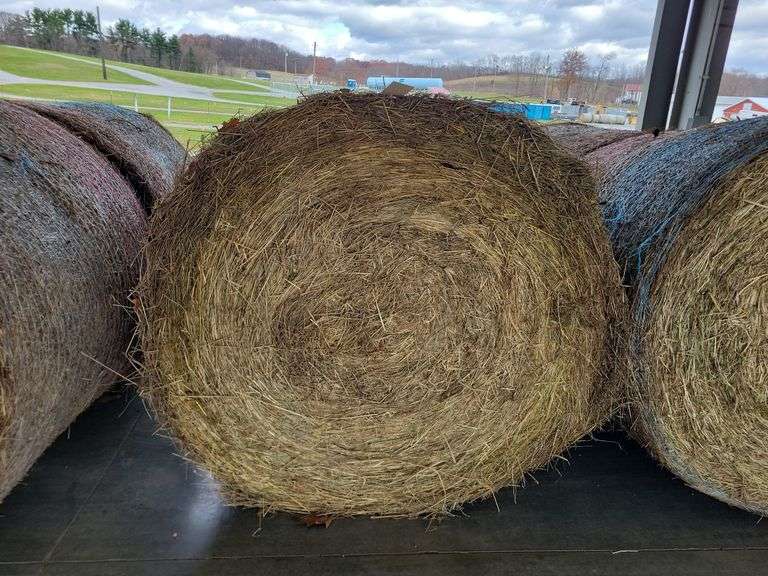 2 Round Bales 1st Orchard Grass (4x4.5)