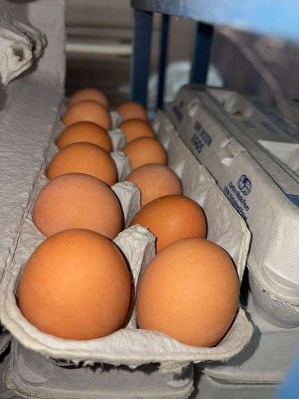 4 Doz Large Brown Eating Eggs