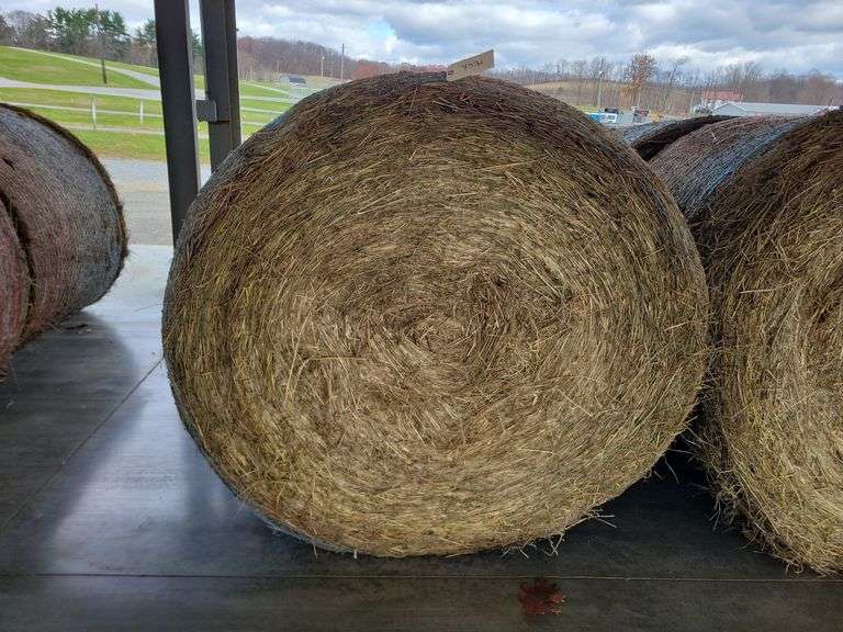 2 Round Bales 1st Orchard Grass (4x4.5)