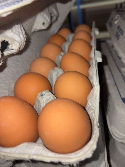 4 Doz Large Brown Eating Eggs