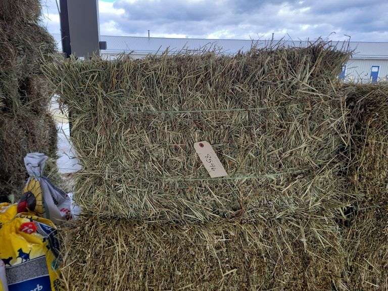 24 1st Timothy Orchard