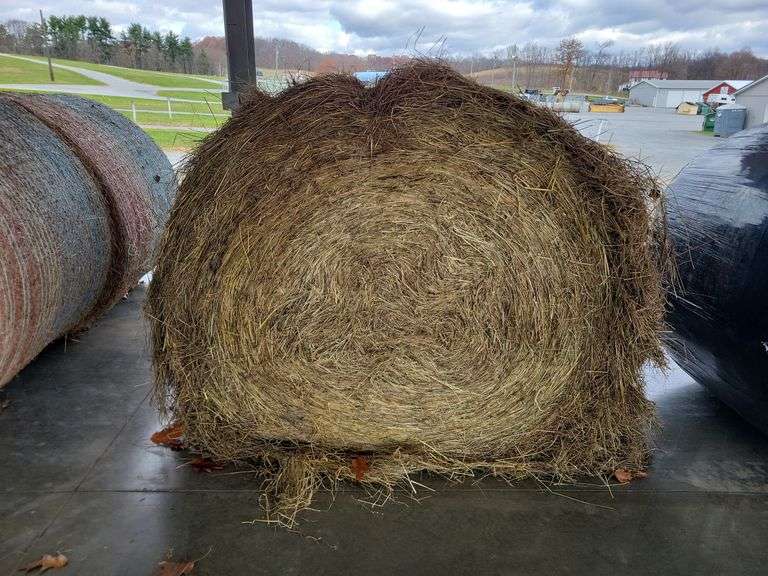 2 Round Bales 1st Orchard Grass (4x4.5)