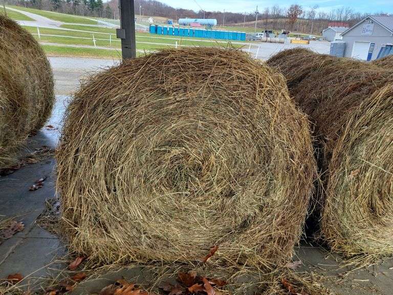 2 Round Bales 1st Alfalfa Grass (4x4)