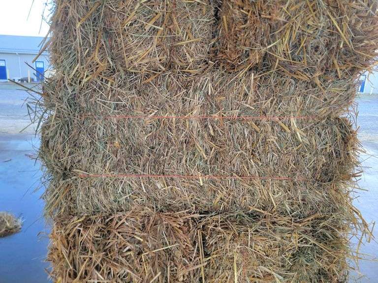 20 Oat Straw