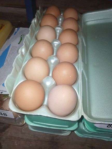 3 Doz XLarge Brown Eating Eggs