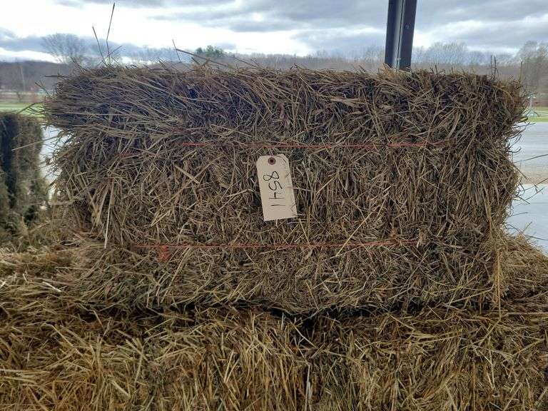 26 1st Orchard Grass Timothy