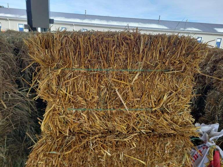 15 Oat Straw